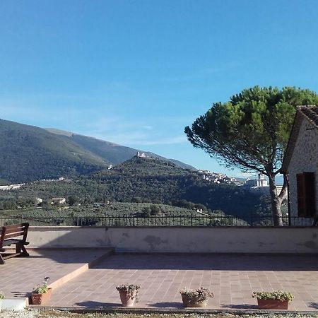B&B Colle San Francesco Assisi Exteriér fotografie