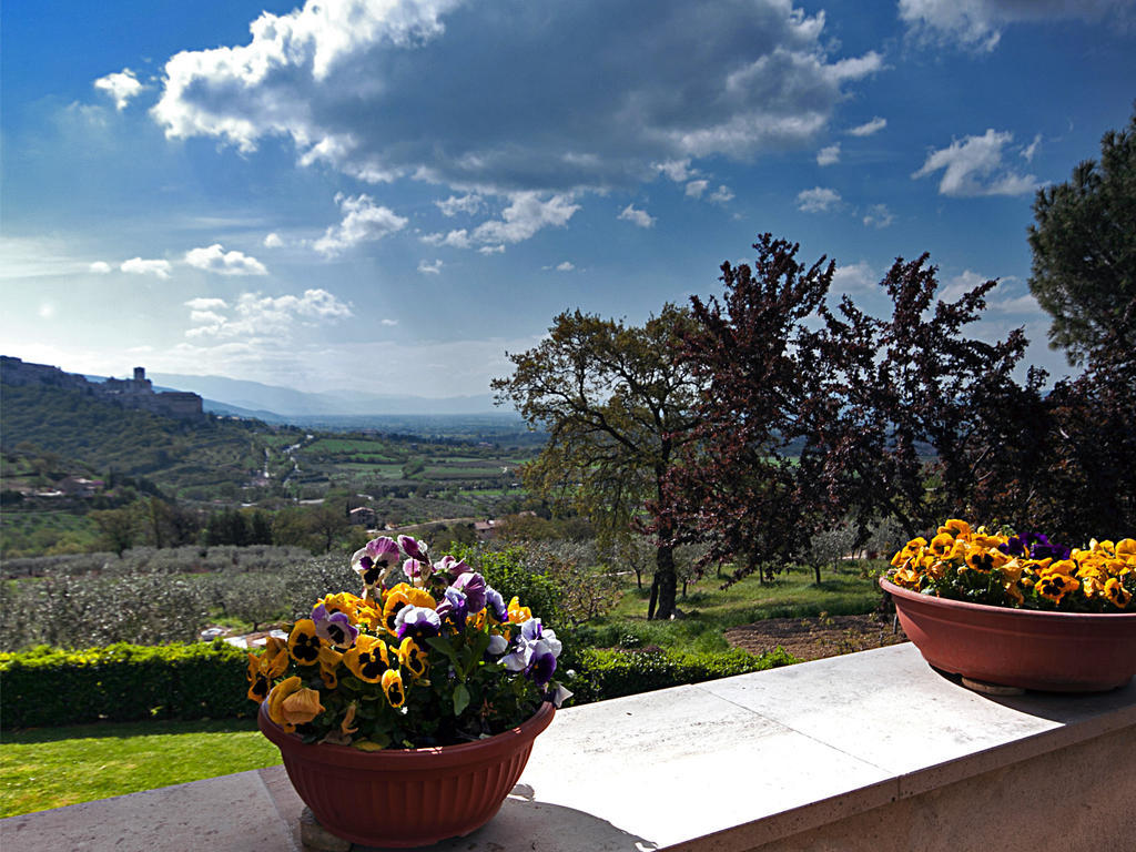 B&B Colle San Francesco Assisi Exteriér fotografie