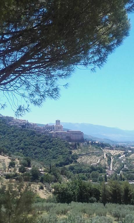 B&B Colle San Francesco Assisi Exteriér fotografie