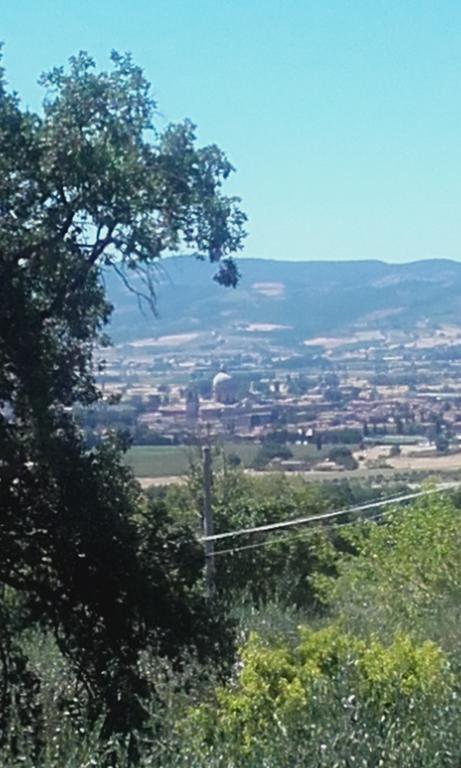 B&B Colle San Francesco Assisi Exteriér fotografie