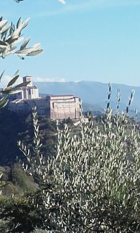 B&B Colle San Francesco Assisi Exteriér fotografie